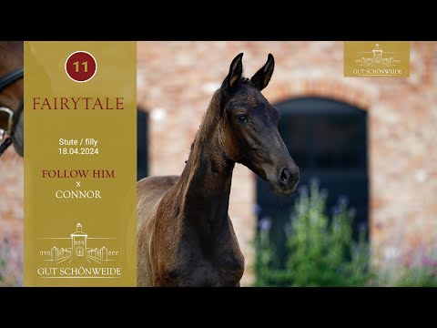 1. Gut Schönweide ONLIVE Fohlenauktion Lot 11 Fairytale Stute v. Follow Him - Connor