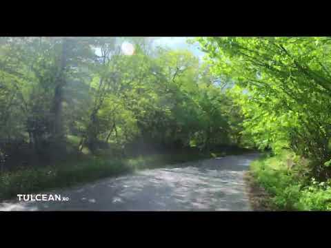 [4K] Drumuri Tulcene. Traseul Luncavița - Nifon - Hamcearca - Balabancea - Horia.