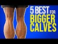 5 Best Exercises for BIGGER Calves At Home or Gym