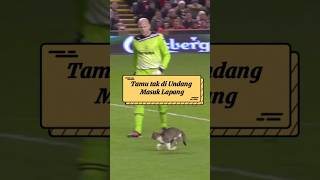 Download lagu Moment kocak, hewan masuk lapangan sepakbola! mp3