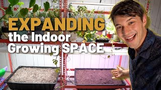 This GROW ROOM will keep me busy this Winter!