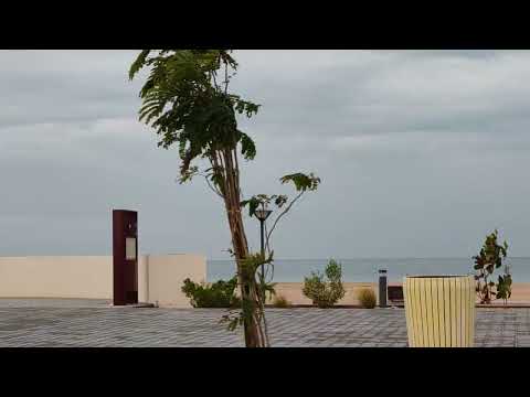 lovely weather... beach lovers.. coolest UAE #viral #beaches #travel