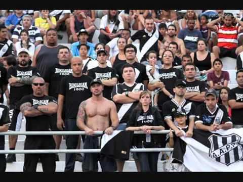 Curva 1900 Ponte Preta