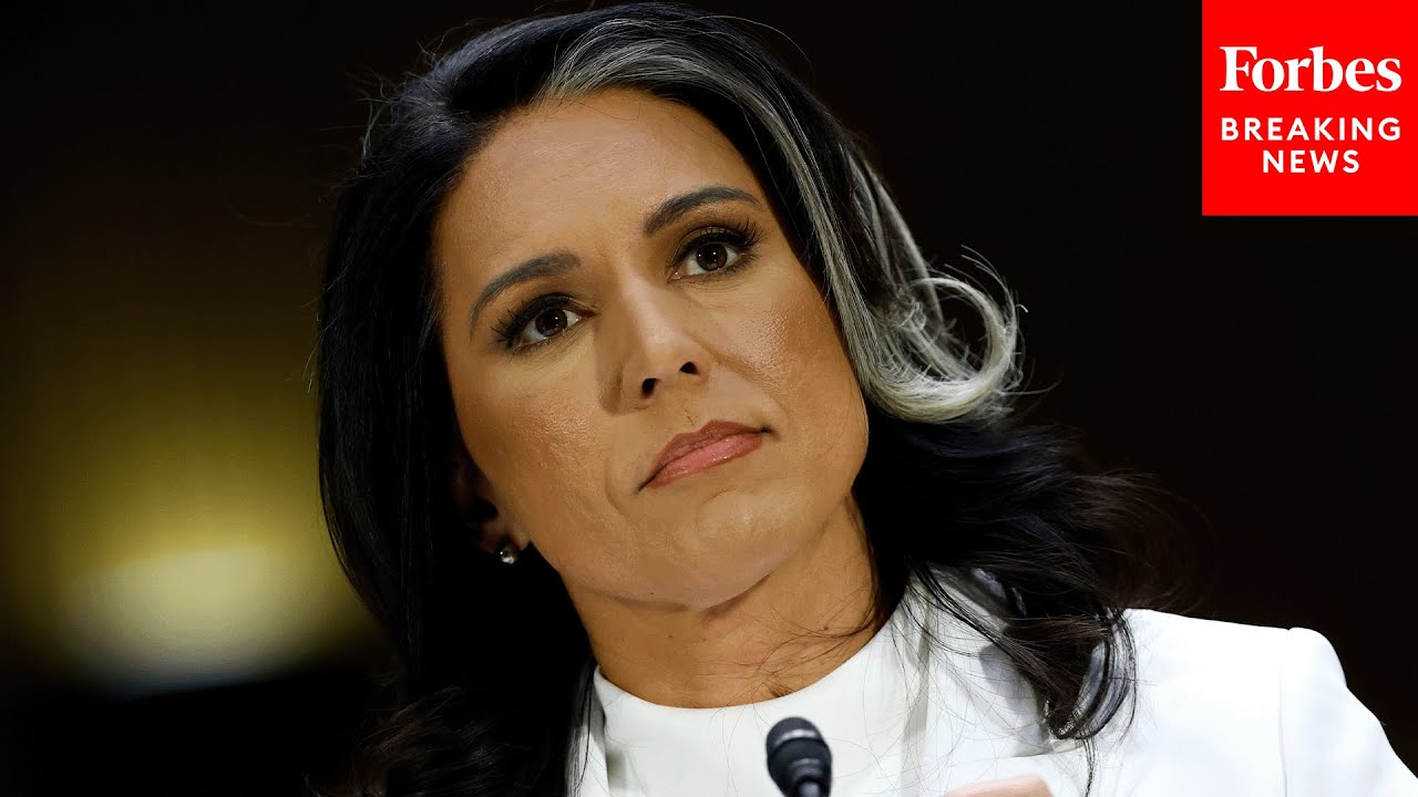 FULL EVENT: Tulsi Gabbard Faces Tough Questions During Senate Intel Committee's Confirmation Hearing