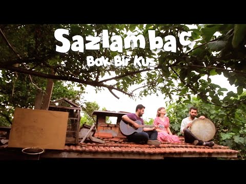 Bak Bir Kuş - Sazlambaç