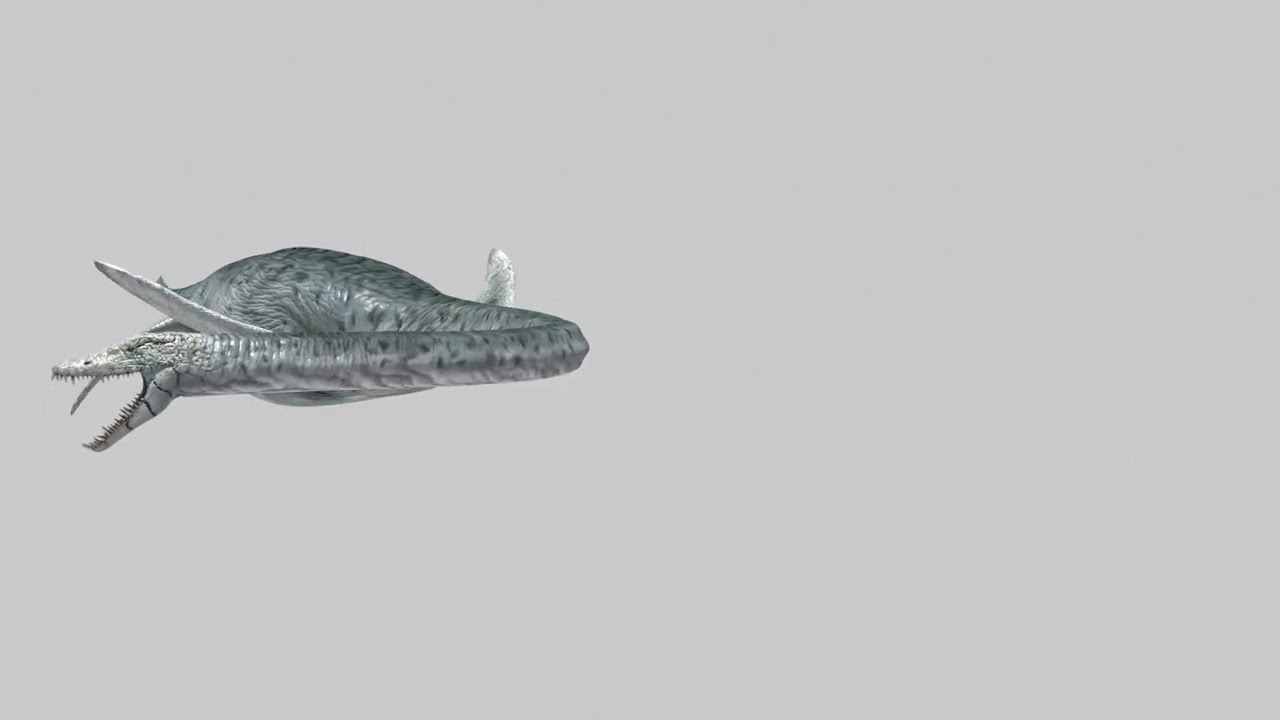 실제 수장룡 Elasmosaur - 8K 3D 모델