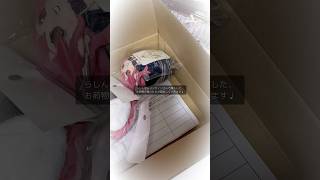 らしんばんオンライン購入品紹介❤︎#ホロライブ #手元動画 #開封動画 #宝鐘マリン #asmr #生活音