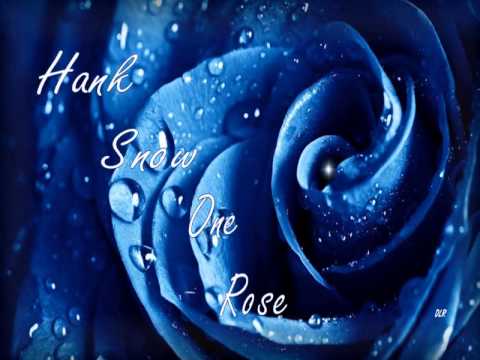 ONE ROSE video thumbnail