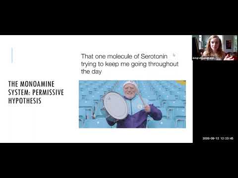 Lecture 8 - Mood II etiology and treatment of unipolar depression