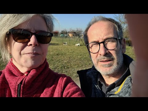 150 Leicht Socks, Mad Dancer, Instand Crush und der Wanderling, der auf Reisen geht