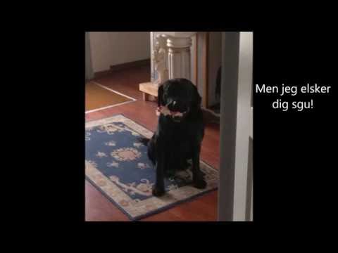 Tillykke Mickey med fødselsdagen !