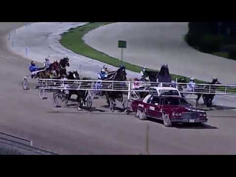 Aversa trotto 29 Febbraio 2020 - 6° Corsa