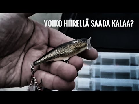 Kalastetaan hiirellä 4 - JUHANNUSTAISTELUT