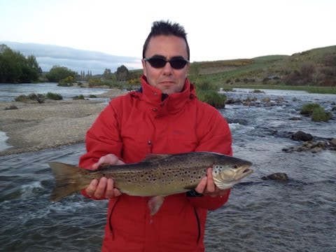 Big Brown Trout Fishing in Mataura River. Gore, New Zealand