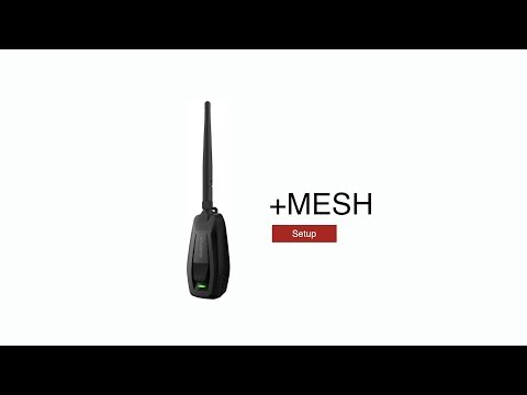 +Mesh - Setup