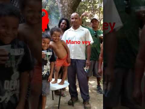 11 de dezembro de 2025