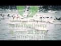Озеро Лебедей Зимой на Алтае - ролик 