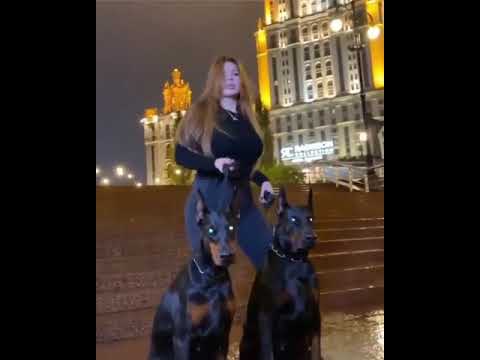 Goca e re qe do futet ne / Perputhen