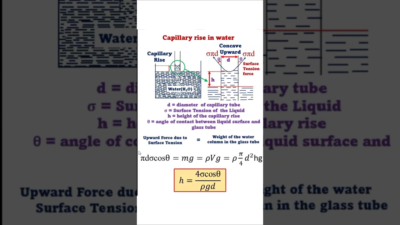 Capillary Rise in Water #fluidmechanics #physics #engineering #fluidmechanics