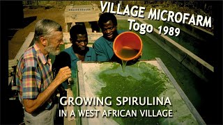 preview picture of video 'Growing Spirulina Algae in a Village in West Africa'