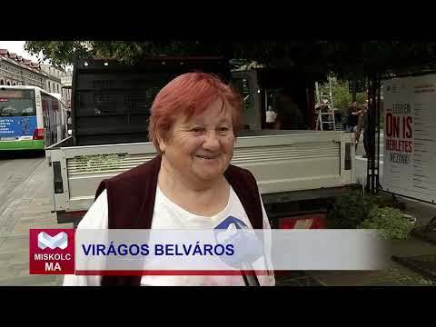 Videó előnézet