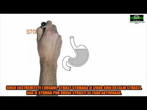 Comprare creme di decolorazione da posti di pigmentary Nel quale la gravidanza di settimana pigmentary i posti può apparire