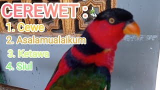 Download lagu Suara nuri kepala hitam | Cerewet, cewe, asalamualaikum, ketawa, siul mp3