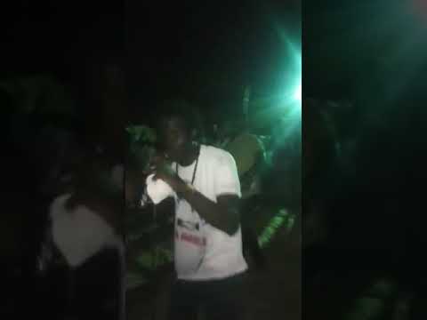 NAO(PDA Family) en concert