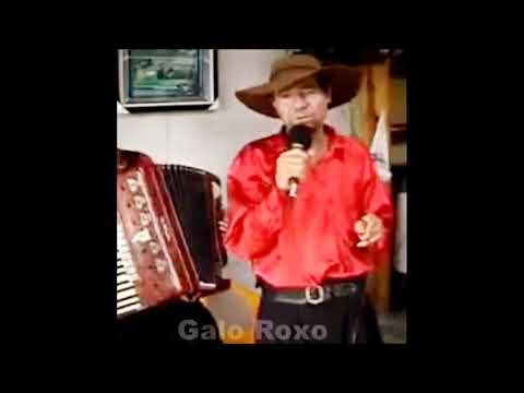 Galo Roxo - Visita Na Estância - Xote - (Galo Roxo)