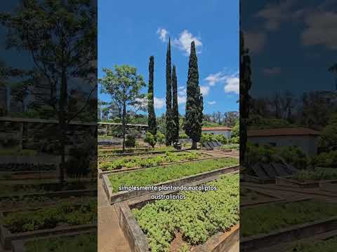 Viveiro dentro do Parque #Ibira #sp