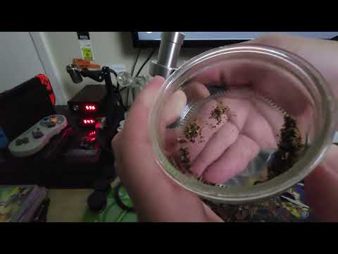 First rips Off the Vulcan bowl from Cloud Connoisseur