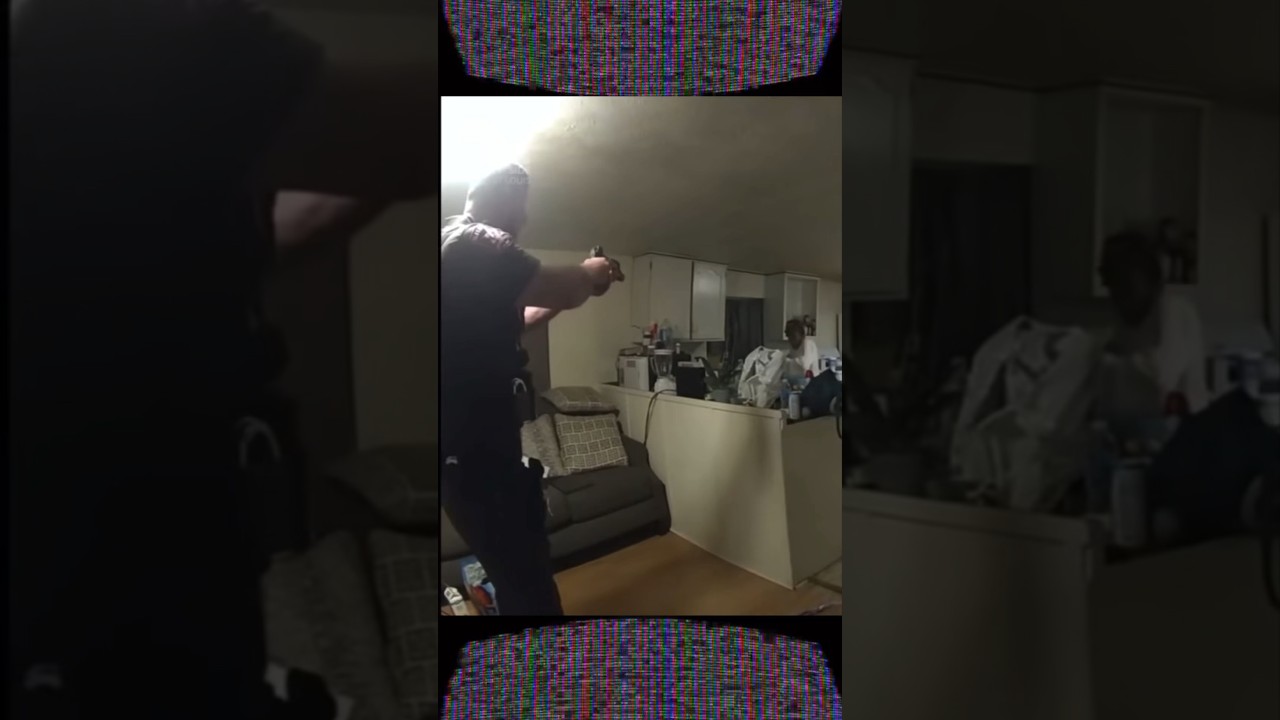 Illinois Woman tries to Throw Boiling Hot Water on Cops #crime#crimes#crimestory#cops#police#officer