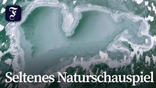 Größter See Mitteleuropas weitgehend zugefroren