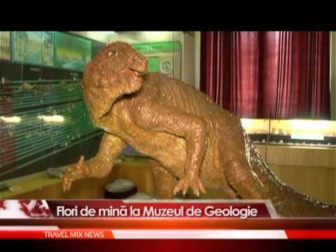 Flori de mină la Muzeul de Geologie