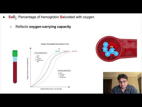 SaO2 vs PaO2: Key Differences Explained