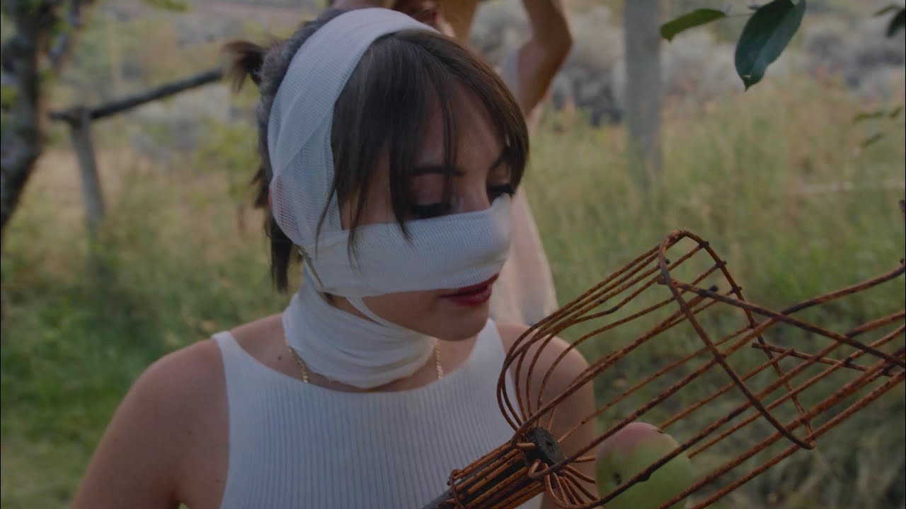 Everything is Changing in PURE IMMERSION