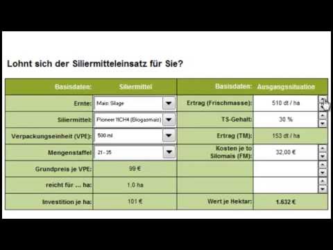 Wie Siliermittel für Gras und Mais den Gewinn steigern