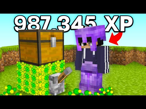 Why I Secretly Duped 2,063,798 XP in this Minecraft SMP...