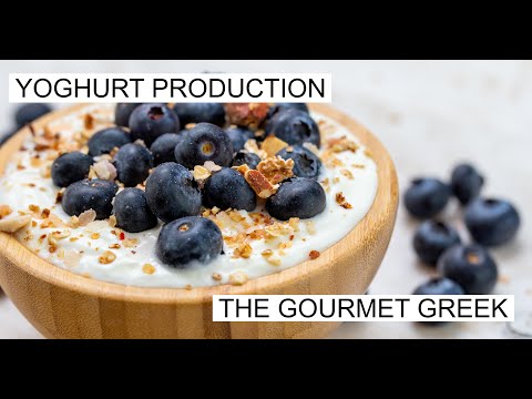 O GREGO GOURMET: PRODUÇÃO DE IOGURTE.