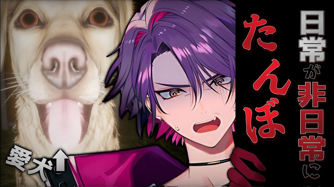 【たんぼ】愛犬といつもの日常の如く散歩だろ【渡会雲雀/にじさんじ】