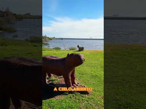 Este pueblo nació para alojar obreros de una represa | Palmar, Soriano