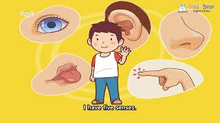 Lồng tiếng (dễ) - Luyện nghe nói Tiếng Anh | My five senses | TTNN Polar Bear Vũng Tàu