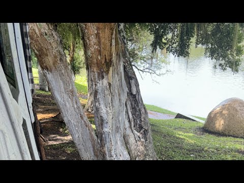Rio Iguaçu Porto Amazonas parana