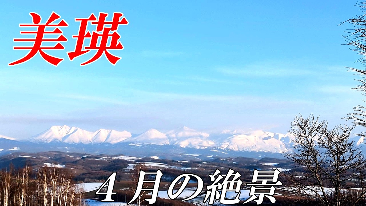 【北海道観光 美瑛】４月の美瑛～就実の丘と聖台ダムの白鳥