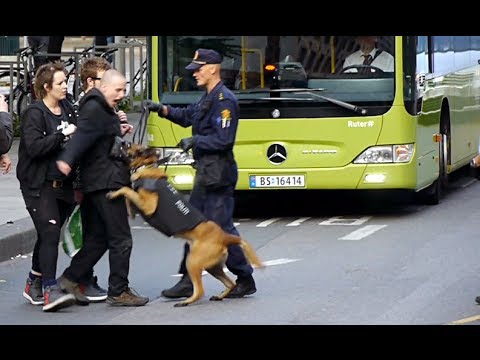 Police against anarchists in Oslo, Norway