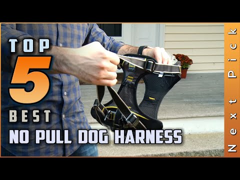 Top 5 Best No Pull Dog Harness Review in 2021