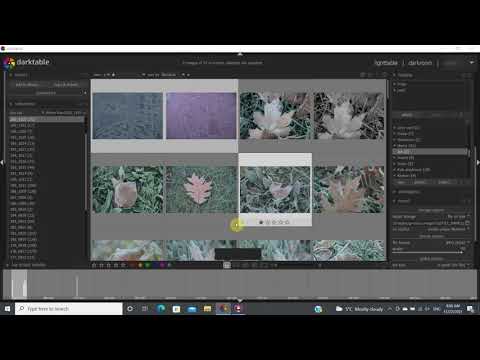 Darktable 06 (learn how to tag your images)