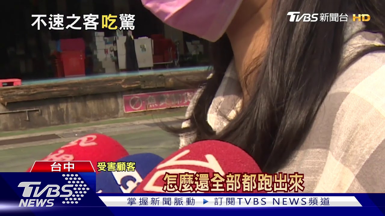 全家去潮港城吃生日餐 驚見「小強」桌上亂竄