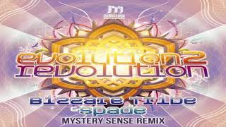 BIZZARE TRIBE &amp; SPADE - Evolution 2 Revolution (MYSTERY SENSE Remix)