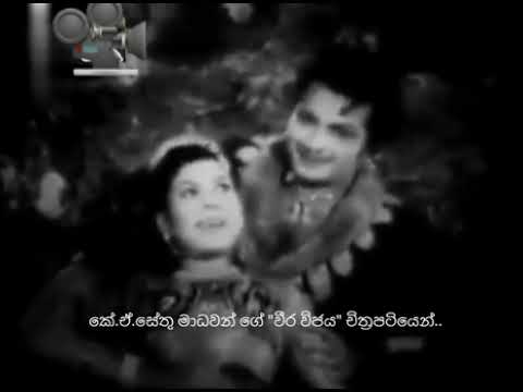 Iranamata sawoma gathi wewi (ඉරණමට සැවොම ගැතිවේ)